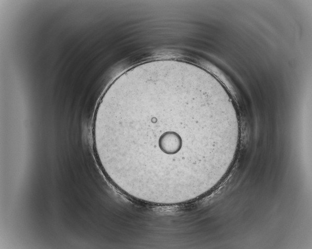 X0000116860810200912291258