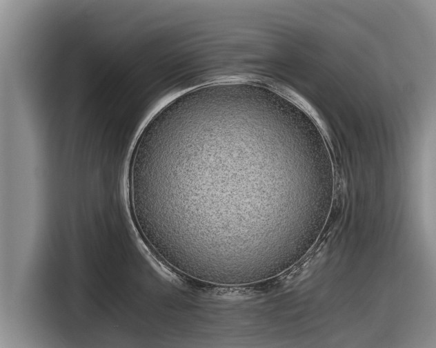 X0000116860811200912291258