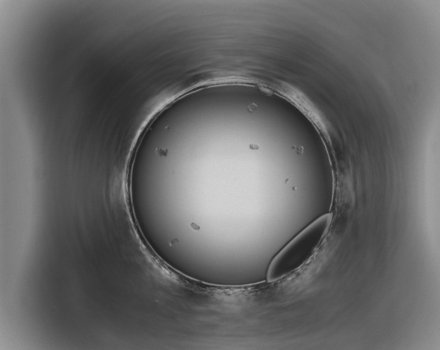 X0000116860813200912291258