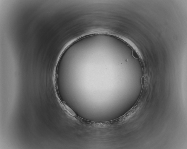 X0000116860815200912291258