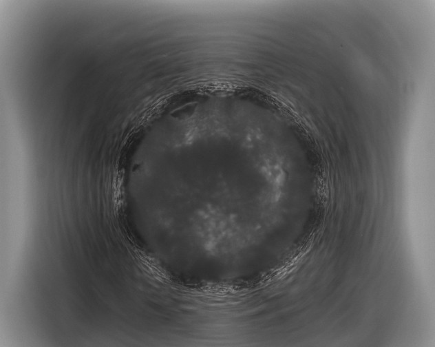 X0000116860818200912291258