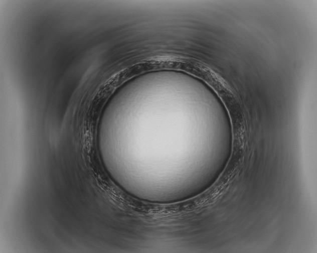 X0000116860821200912291258