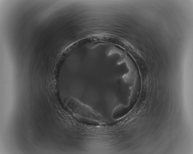 X0000116860822200912291258