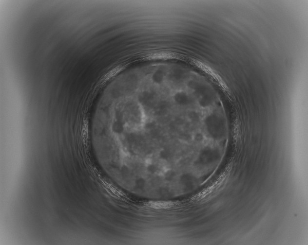 X0000116860825200912291258