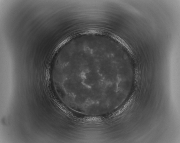 X0000116860826200912291258