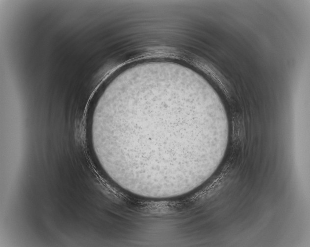 X0000116860828200912291258