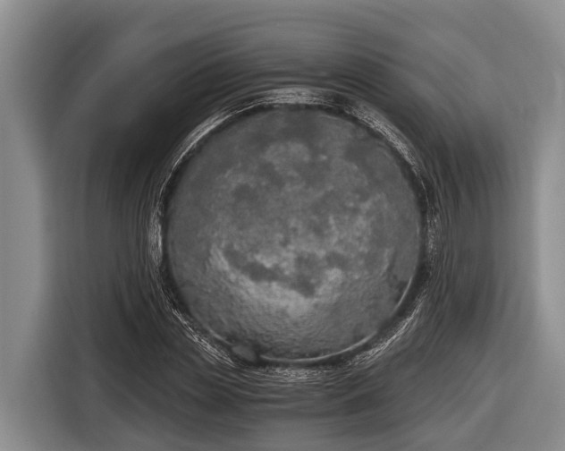 X0000116860829200912291258