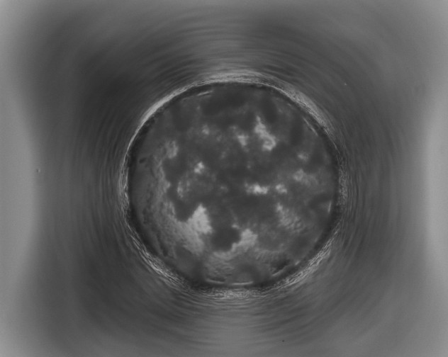 X0000116860830200912291258