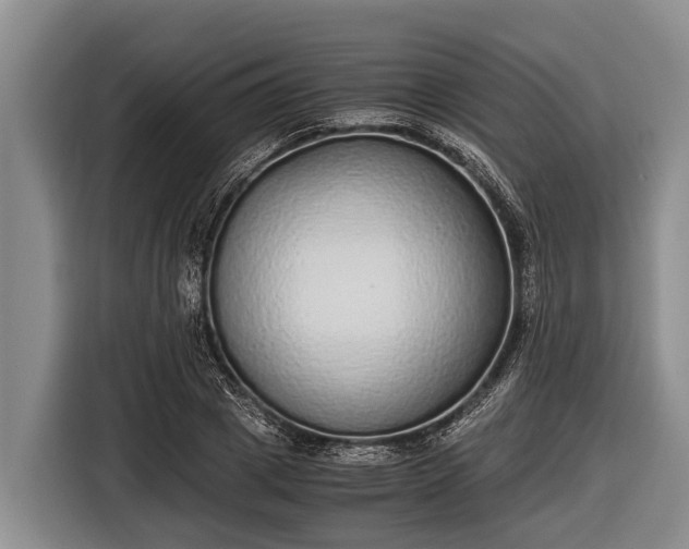 X0000116860833200912291258