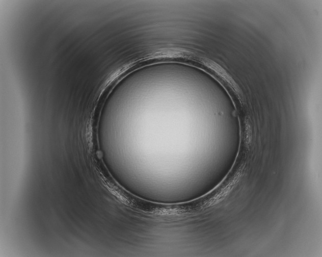 X0000116860834200912291258