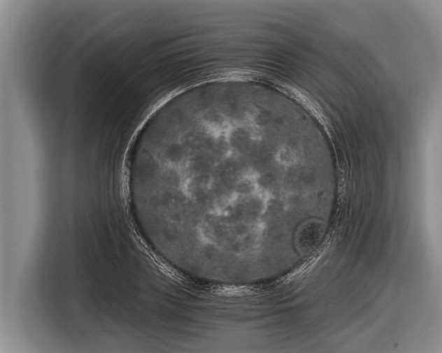 X0000116860835200912291258