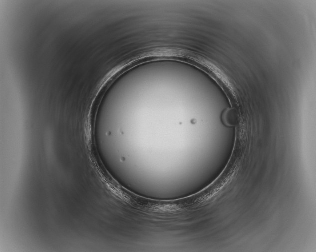 X0000116860837200912291258