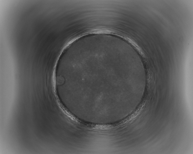 X0000116860840200912291258