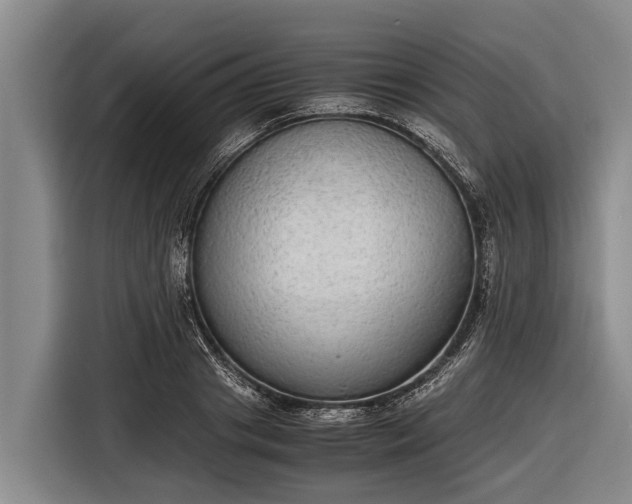 X0000116860841200912291258