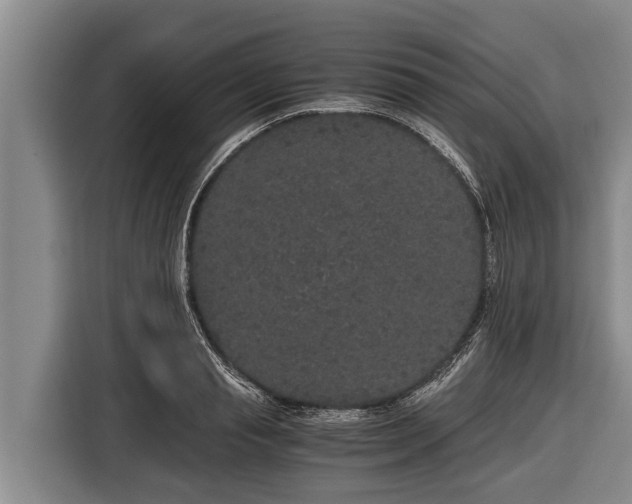 X0000116860845200912291258