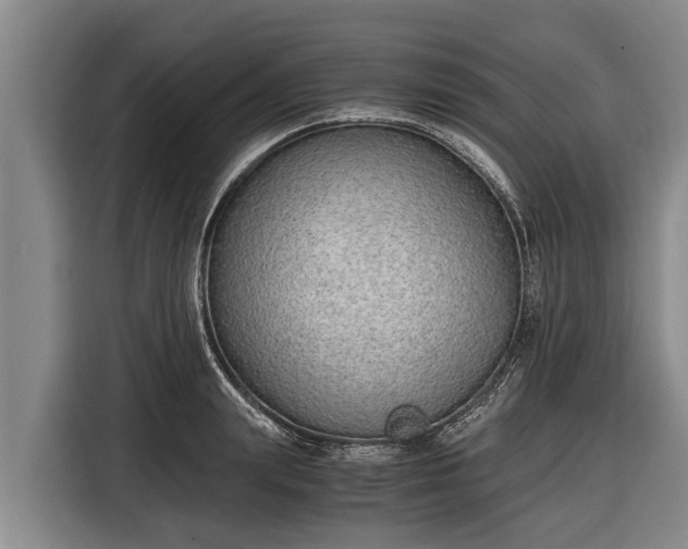 X0000116860847200912291258