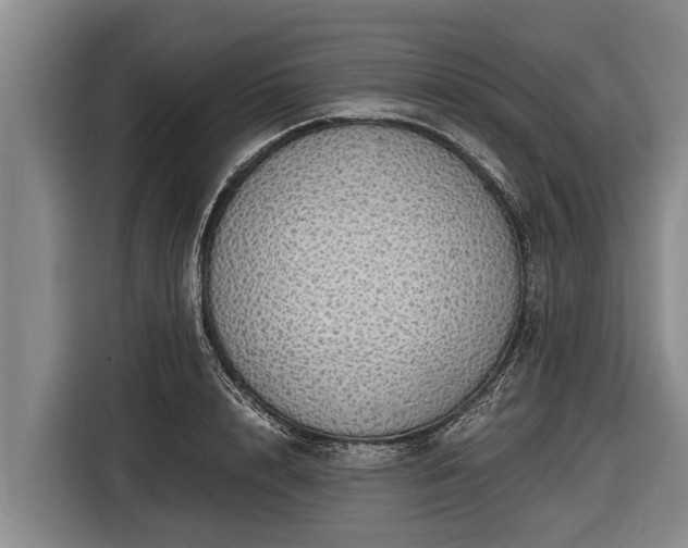 X0000116860848200912291258