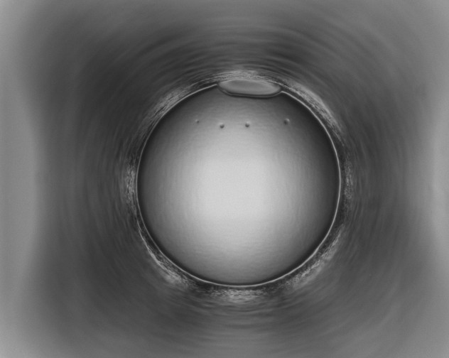 X0000116860849200912291258