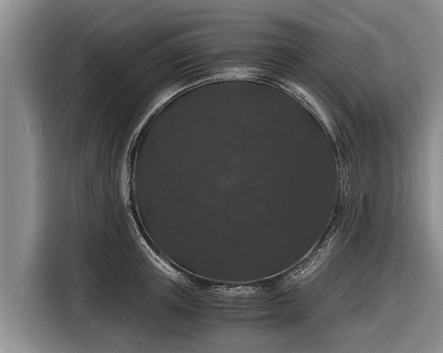 X0000116860851200912291258