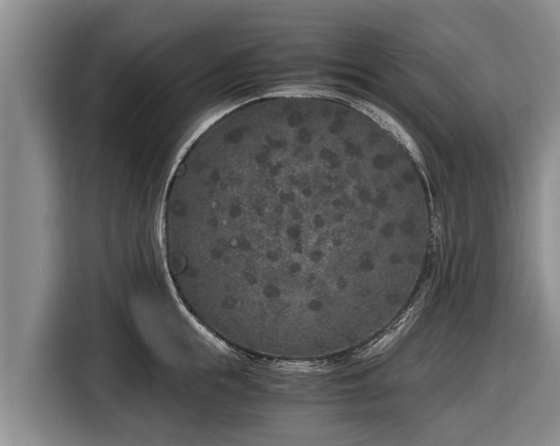 X0000116860855200912291258