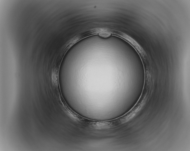 X0000116860857200912291258