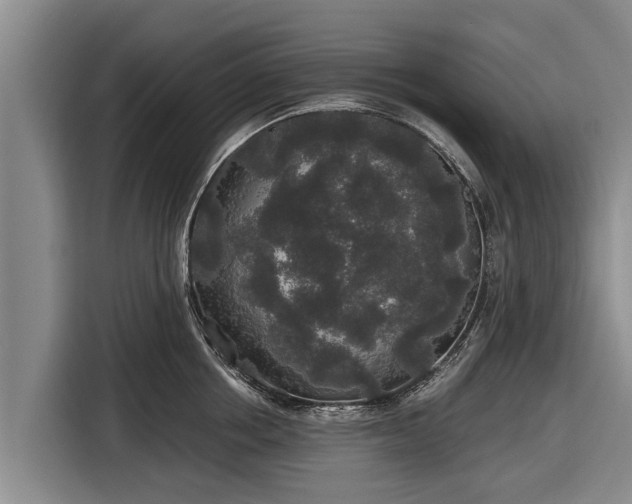 X0000116860858200912291258