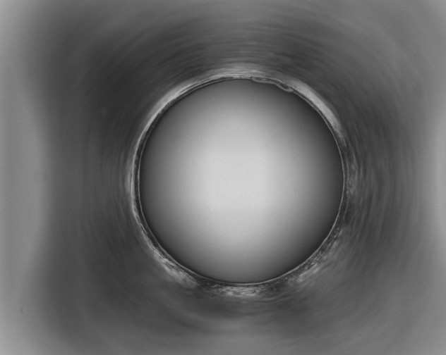 X0000116860861200912291258