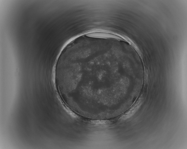 X0000116860862200912291258