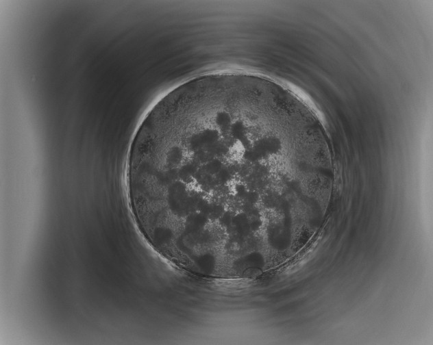 X0000116860863200912291258