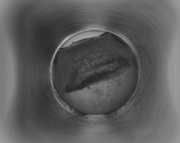 X0000116860864200912291258
