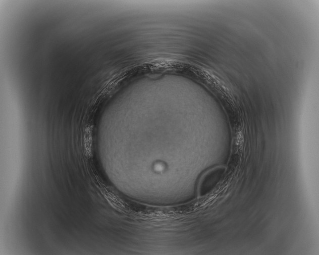 X0000116860868200912291258