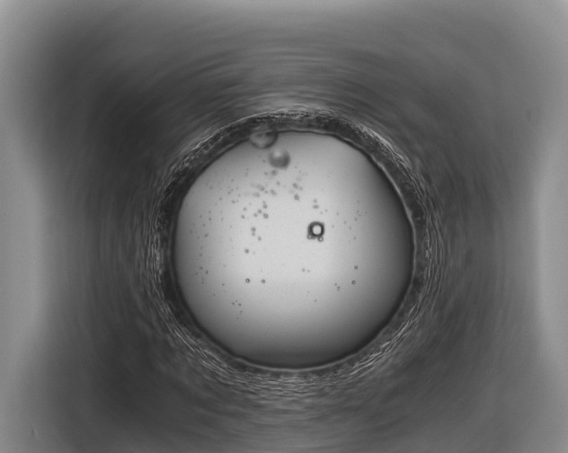 X0000116860869200912291258