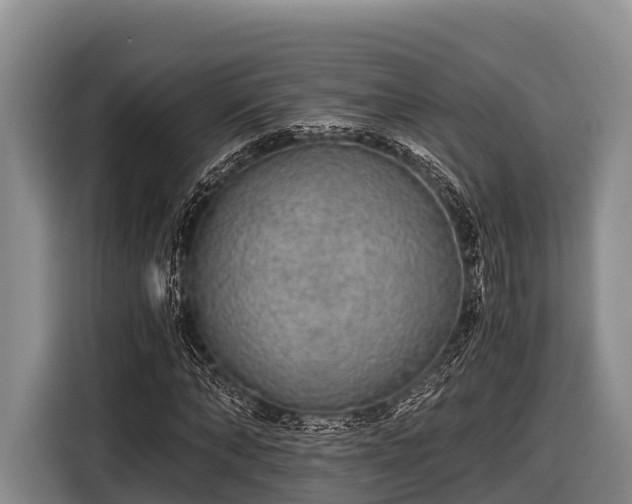 X0000116860870200912291258