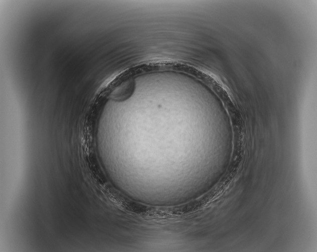 X0000116860871200912291258