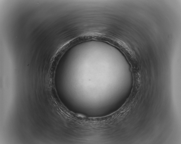 X0000116860872200912291258