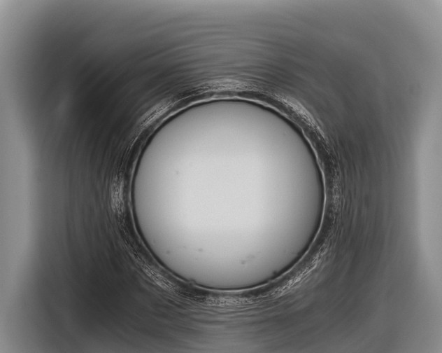 X0000116860873200912291258
