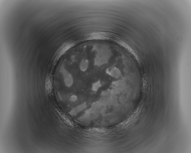 X0000116860874200912291258