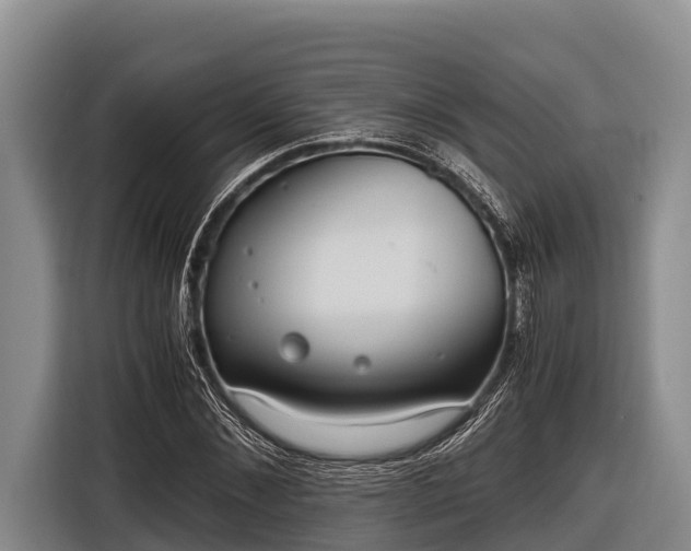 X0000116860876200912291258