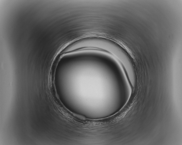 X0000116860877200912291258