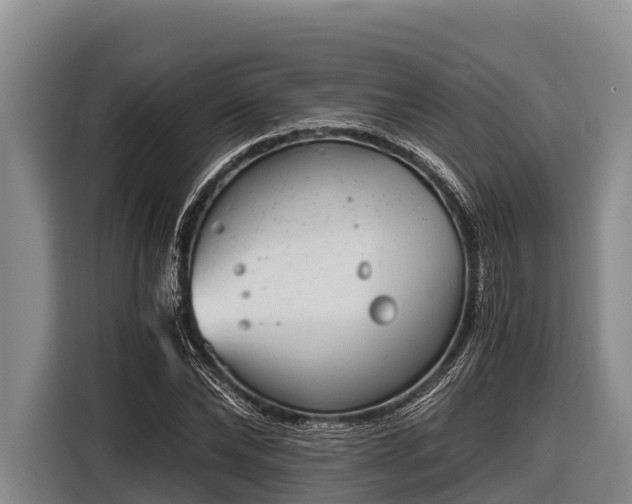 X0000116860878200912291258