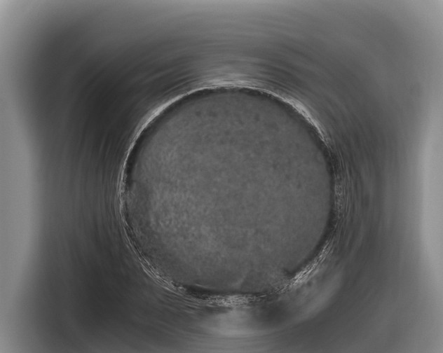 X0000116860879200912291258