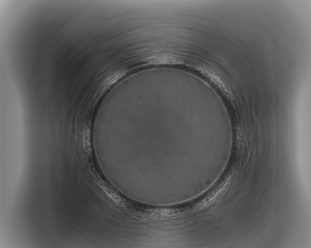 X0000116860881200912291258