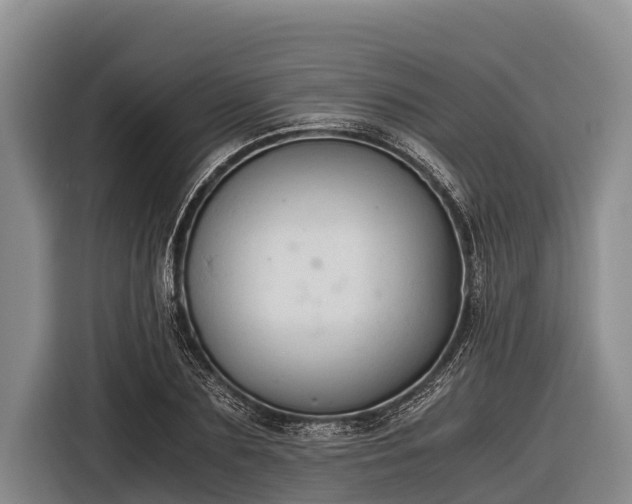 X0000116860883200912291258