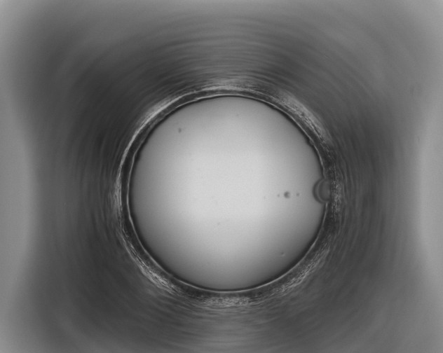 X0000116860884200912291257