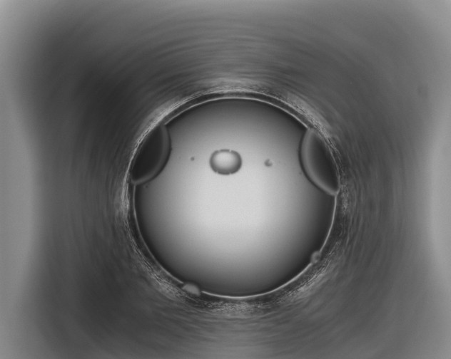 X0000116860885200912291257