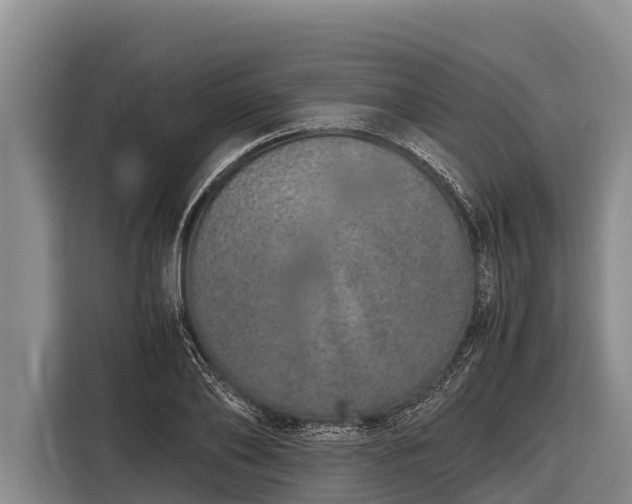 X0000116860886200912291257