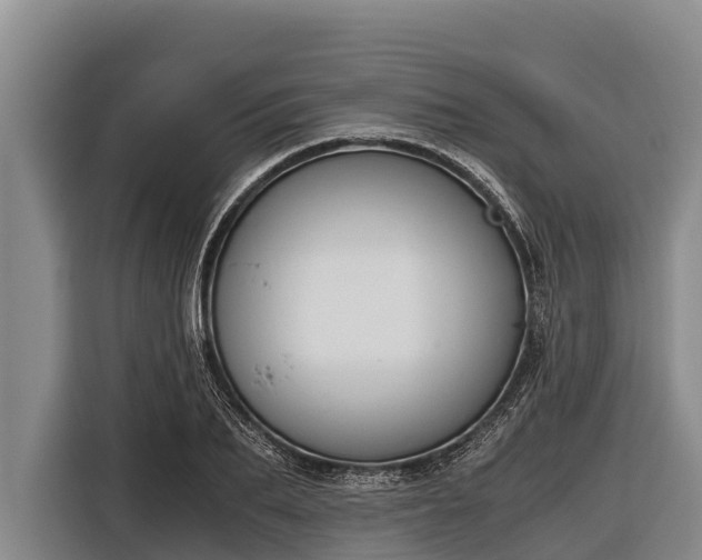 X0000116860887200912291257