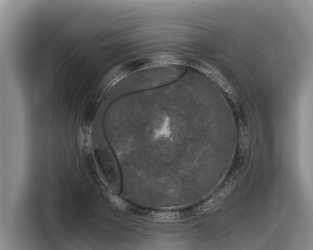 X0000116860889200912291257