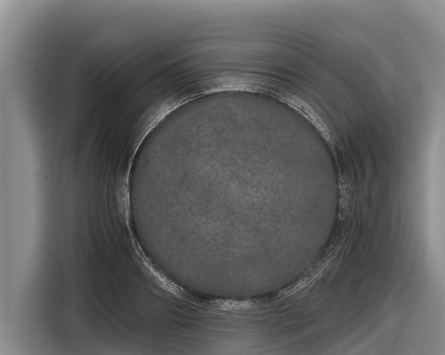 X0000116860890200912291257