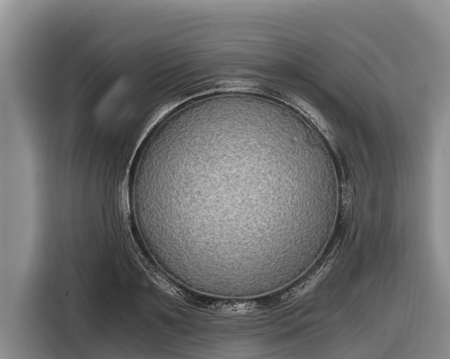 X0000116860891200912291257